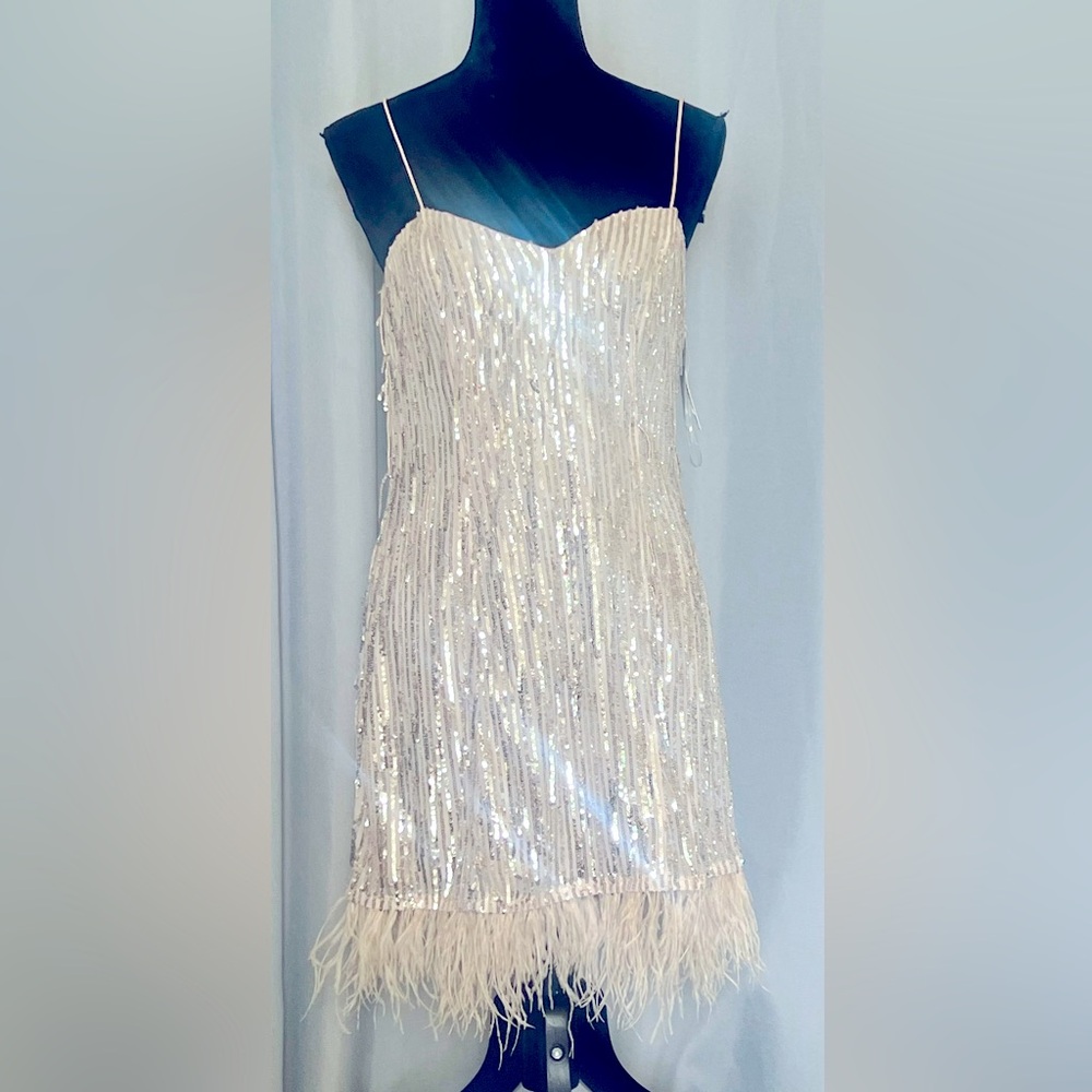 Xtraordinary sequin with feathers dress size 9